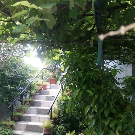 Свети Никола Hotel Sinemoretz Exterior foto